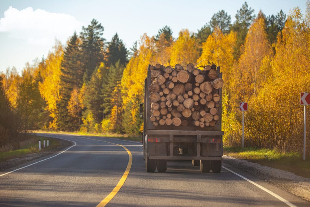 Logging truck transporting stacked timber along a rural road lined with autumn trees